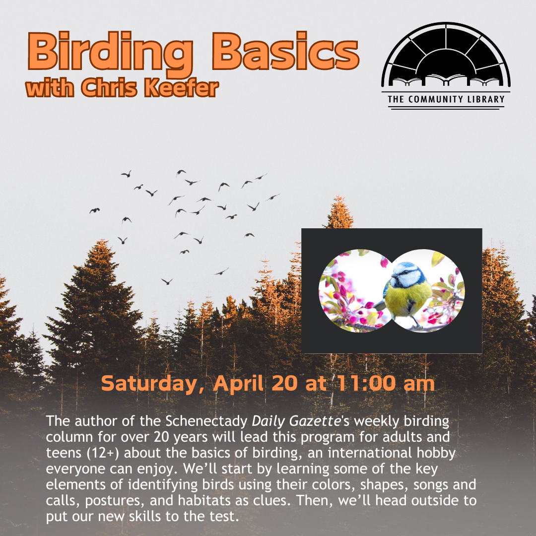 Birding Basics meets April 20 at 11 am